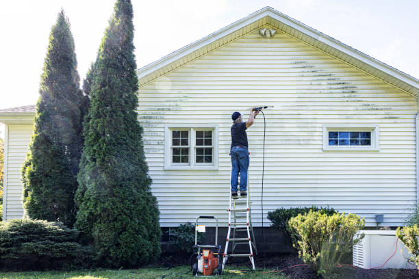 Best Graffiti Removal  in Ashland, NJ